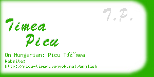 timea picu business card